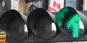 काठमाडौंको सडकमा पेलिकन क्रसिङ